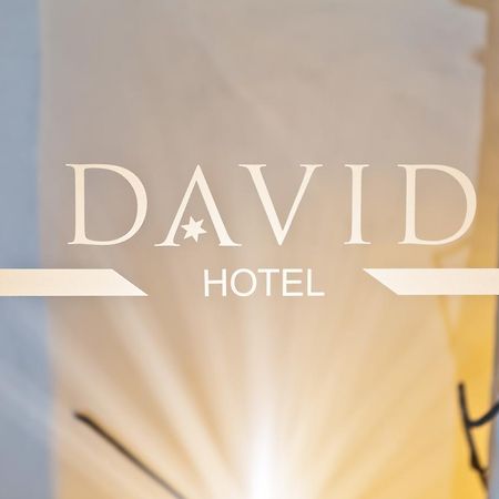 Hotel David An Der Donau Regensburg Eksteriør bilde